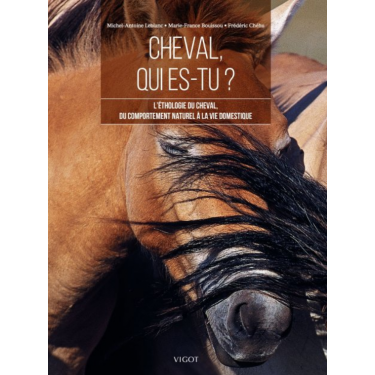 Traiter les urgences chez le cheval : Diagnostic et intervention