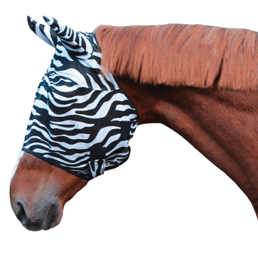 masque anti mouche zebra